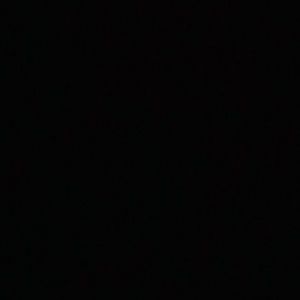 Meet your Posher, Lenny